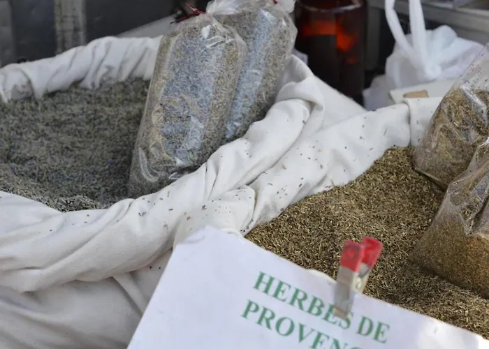 Au Lavandou, Proche Plage, Terrasse, Parking Privatif, 4 Couchages - Fr-1-251-236 Апартаменти Ле-Лаванду