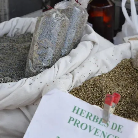 Au Lavandou, Proche Plage, Terrasse, Parking Privatif, 4 Couchages - Fr-1-251-236 Lejlighed Le Lavandou