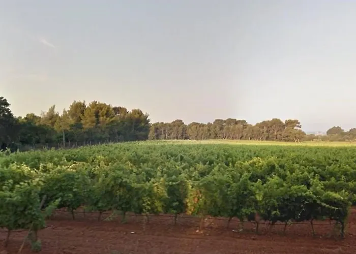 Au Lavandou, Proche Plage, Terrasse, Parking Privatif, 4 Couchages - Fr-1-251-236 * Le Lavandou